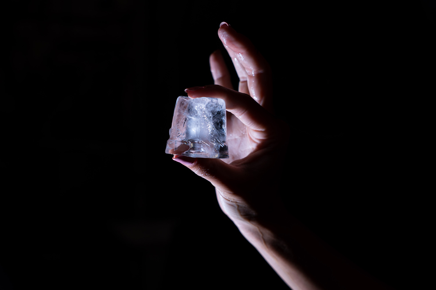 Ghiaccio Gourmet Miami Ice